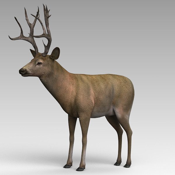 Một số mẫu đắp tượng thú vật mầm non tại Tp Vinh Nghệ An, Hà Tĩnh cực đẹp