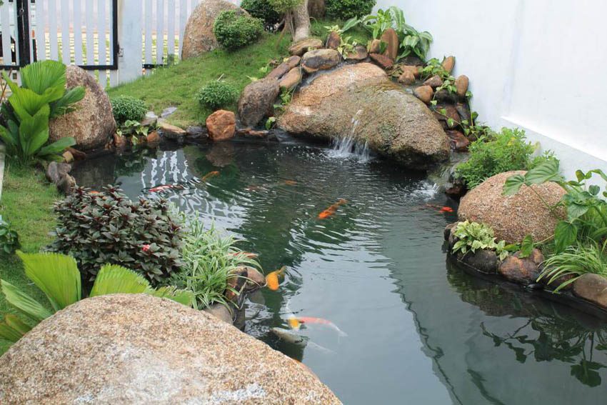 thiết kế thi công tiểu cảnh tại nghệ an 7