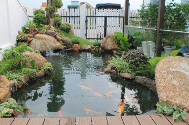 Thi công hồ cá tại hà tĩnh