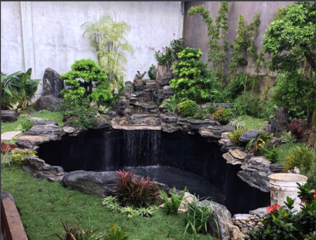 Thi công hồ cá tại hà tĩnh