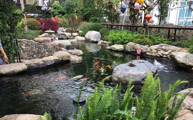 Thi công hồ cá tại hà tĩnh