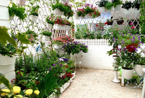 Thi công tiểu cảnh ban công tại hà tĩnh