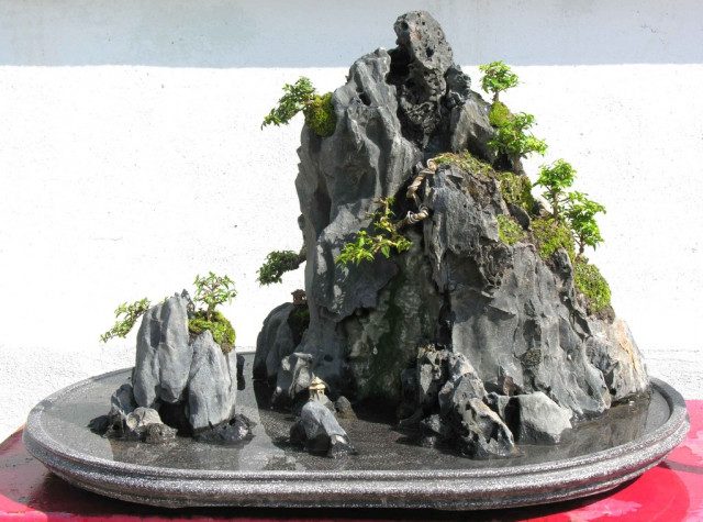 Thi công tiểu cảnh hòn non bộ tại hà tĩnh