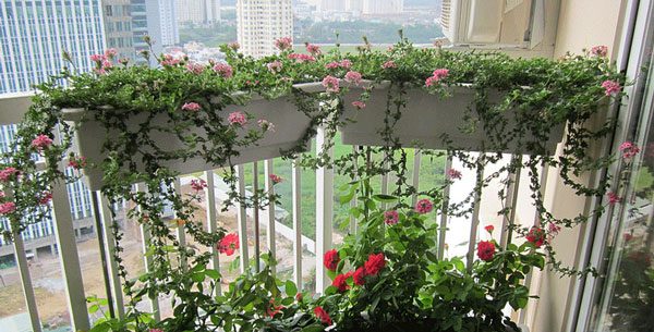 Thi công tiểu cảnh sân thượng tại hà tĩnh