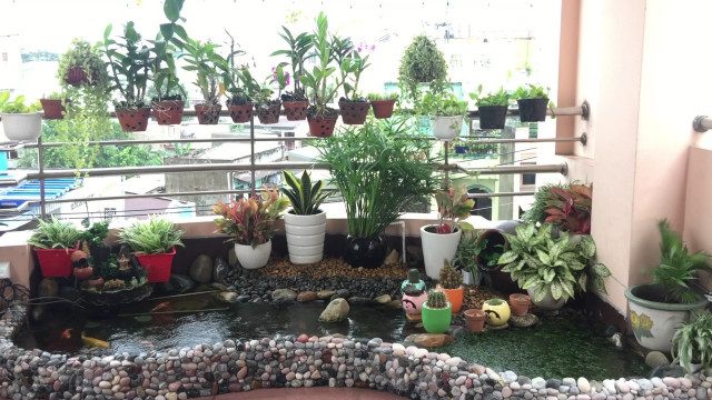 Thi công tiểu cảnh nhà hàng khách sạn tại nghệ an