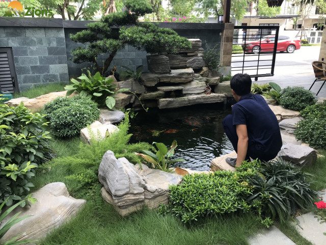 Thiết kế thi công hồ cá koi tại nghệ an đẹp giá rẻ