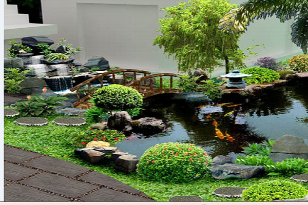 thiết kế thi công hồ cá koi tại nghệ an 1