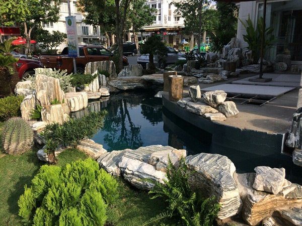 Thiết kế thi công hồ cá koi tại nghệ an đẹp giá rẻ