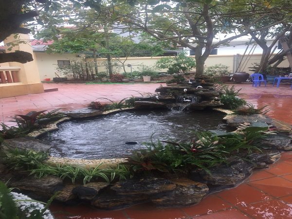 Thiết kế thi công hồ cá koi tại nghệ an đẹp giá rẻ