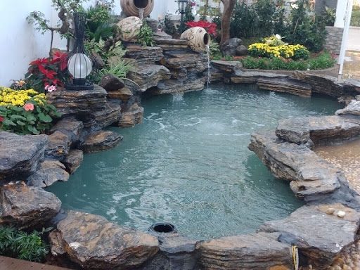 Thiết kế thi công hồ cá koi tại nghệ an đẹp giá rẻ