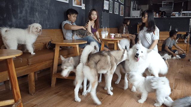 ý tưởng thiết kế thi công quán cafe tại nghệ an hà tĩnh