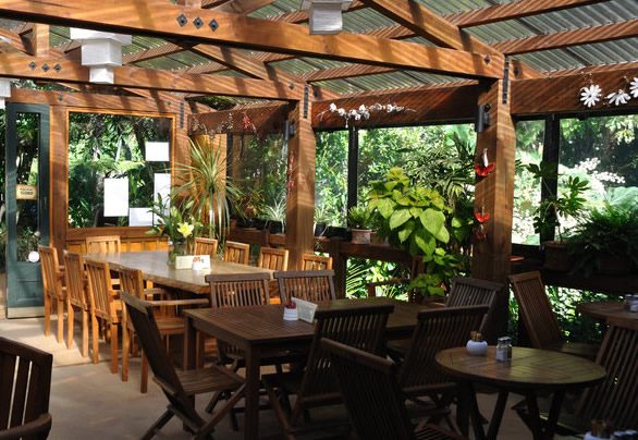 thiết kế thi công tiểu cảnh khách sạn tại vinh nghệ an hà tĩnh 11