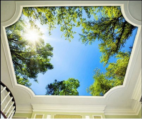 vẽ tranh trần mây tại nghệ an hà tĩnh 1