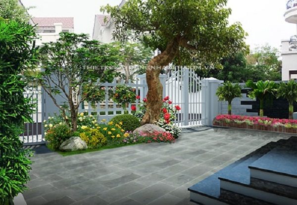 dịch vụ trồng cung cấp cây cảnh cho biệt thự tại nghệ an hà tĩnh 10