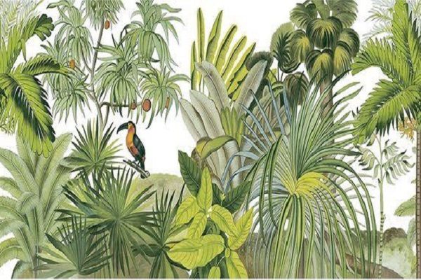 họa sĩ vẽ tranh tường ở tại hà nội 7