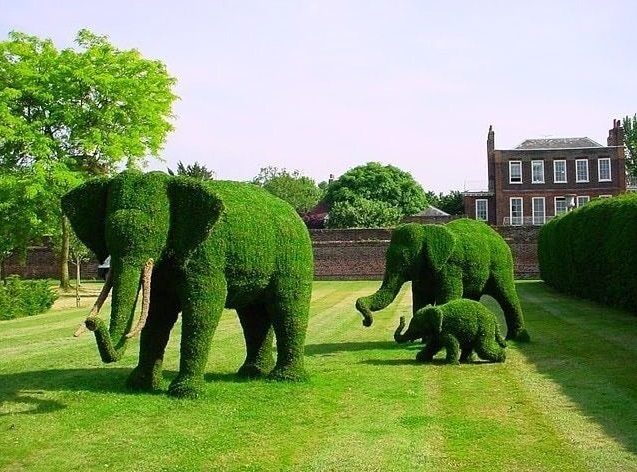 thiết kế thi công công viên 2