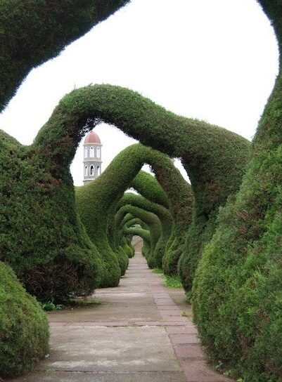 thiết kế thi công công viên 4