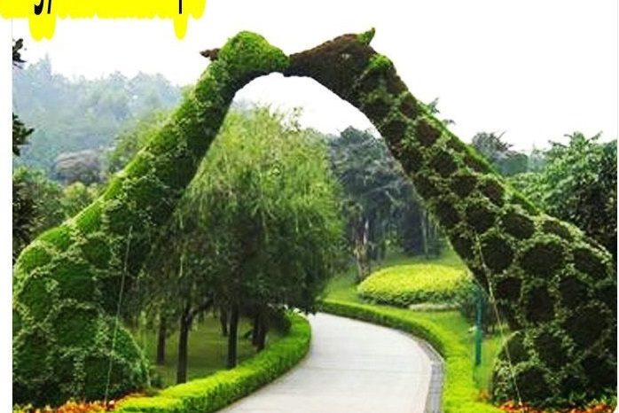 thiết kế thi công công viên 8