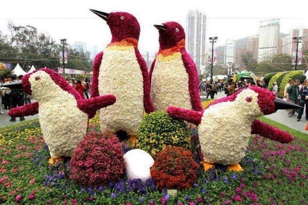 thiết kế thi công công viên 9