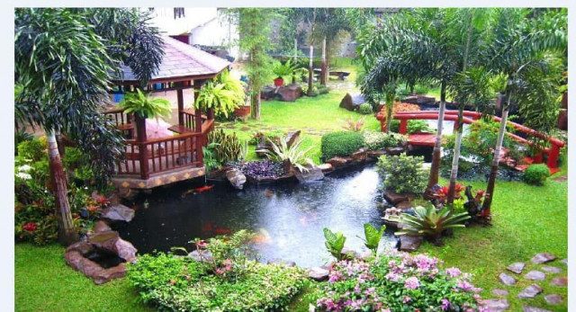 thiết kế thi công hồ cá koi