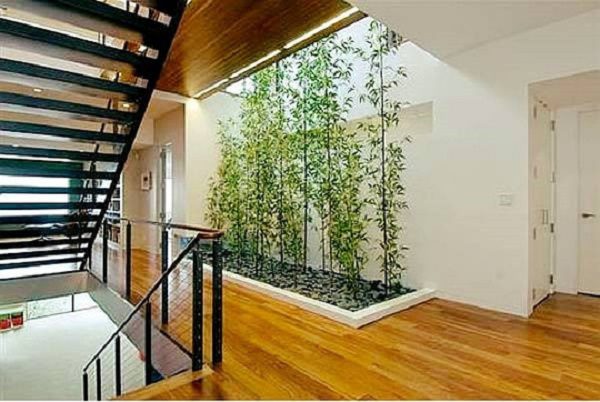 thiết kế thi công tiểu cảnh giếng trời