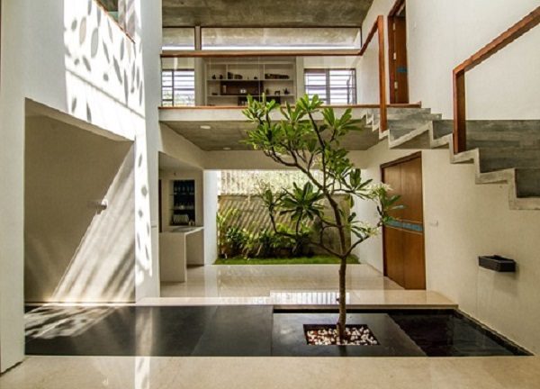 thiết kế thi công tiểu cảnh giếng trời 