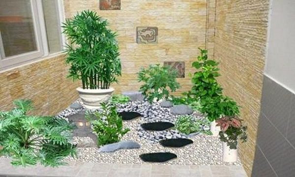 thiết kế thi công tiểu cảnh giếng trời