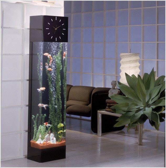 bể cá cảnh mini