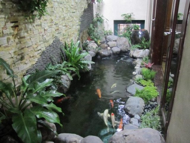 thiết kế thi công hồ cá koi
