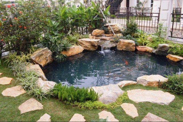 thiết kế thi công hồ cá koi