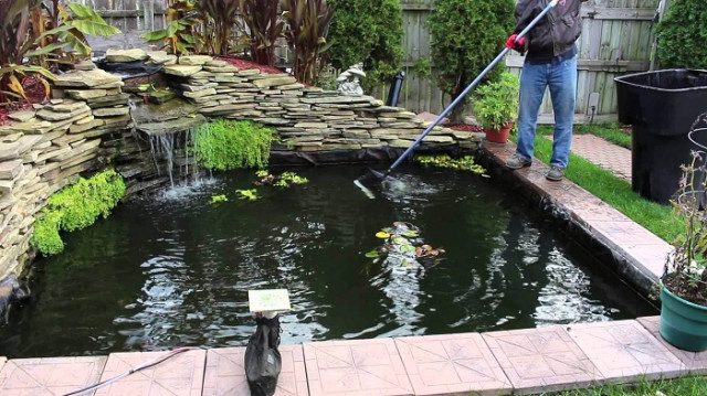 Thiết kế thi công hồ cá koi 