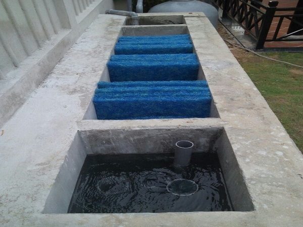 Thiết kế thi công hồ cá koi 