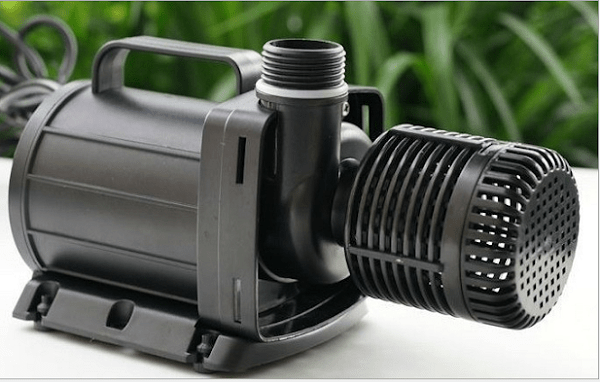 Thiết kế thi công hồ cá koi 