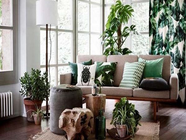 thiết kế thi công tiểu cảnh trong nhà