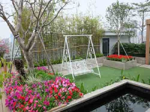 thiết kế thi công tiểu cảnh trong nhà