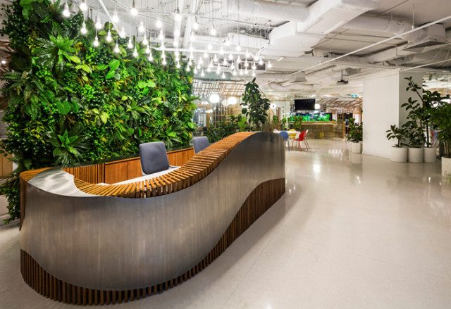 tiểu cảnh quầy lễ tân