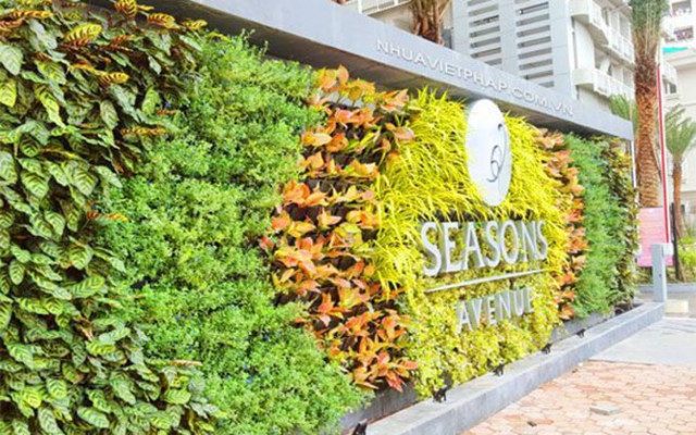 Thiết kế thi công vườn tường đứng tại Nghệ An
