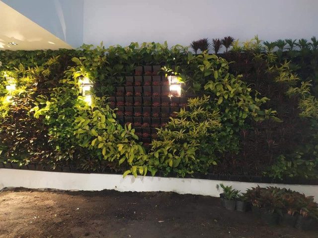 Thiết kế thi công vườn tường đứng tại Nghệ An