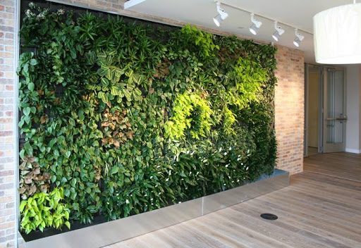 Thiết kế thi công vườn tường đứng tại Nghệ An