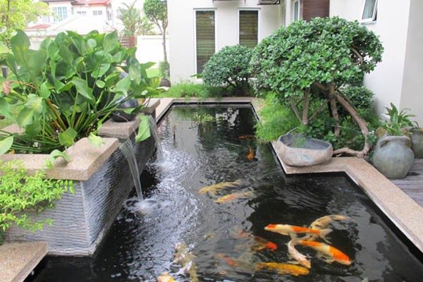 Thiết kế hồ cá koi trên sân thượng tại nghệ an