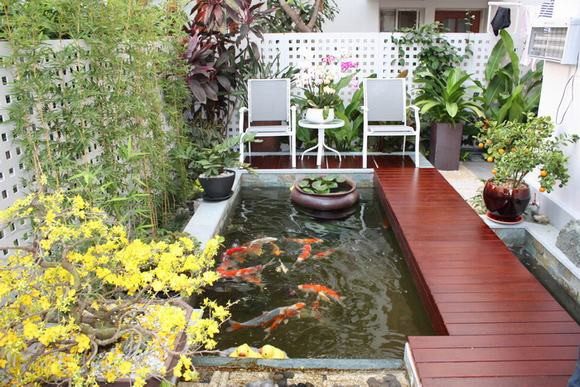 Thiết kế hồ cá koi trên sân thượng tại nghệ an