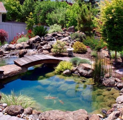 thiết kế thi công hồ cá koi mini ngoài trời