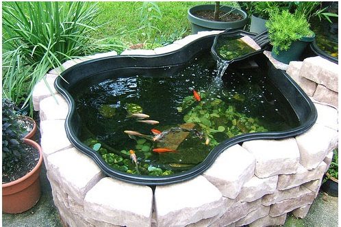 thiết kế thi công hồ cá koi mini ngoài trời