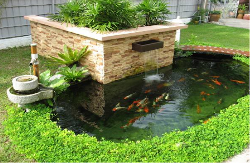 Thiết kế tiểu cảnh hồ cá koi tại Nghệ An