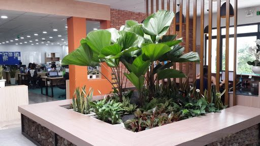 trang trí tiểu cảnh văn phòng đẹp tại nghệ an