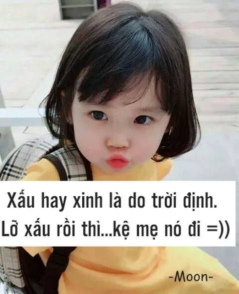 1 triệu Stt hài hước khó đỡ cười không ngậm được mồm 