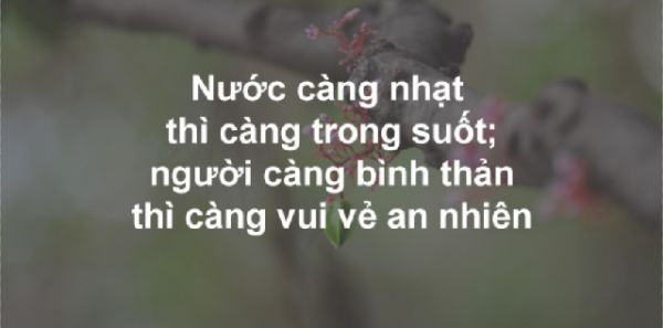 Những Stt hay về cuộc sống ngắn hay nhất mọi thời đại đáng suy ngẫm