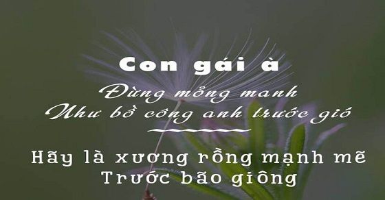 Những Stt hay về cuộc sống ý nghĩa nhất làm thay đổi cuộc đời bạn 