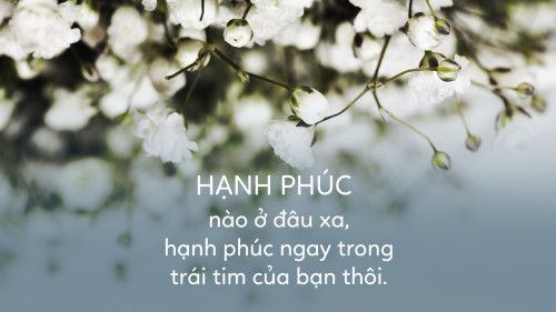 Những Stt hay về tình yêu hạnh phúc khiến triệu trái tim xao xuyến thổn thức