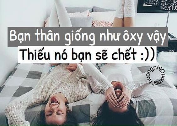 Stt chất hài về tình bạn đáng quý nhất